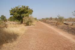 Burkina Faso - Natale 2007- gennaio 2008 - progetto ouatara - foto0555