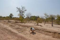 Burkina Faso - Natale 2007- gennaio 2008 - progetto ouatara - foto0717