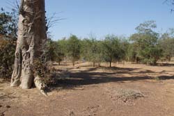 Burkina Faso - Natale 2007- gennaio 2008 - progetto ouatara - foto0774