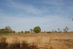Burkina Faso - Natale 2007- gennaio 2008 - progetto ouatara - foto0850